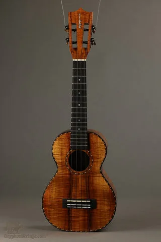 Kamaka HF-2 DI Concert Deluxe Slotted Head with Case New