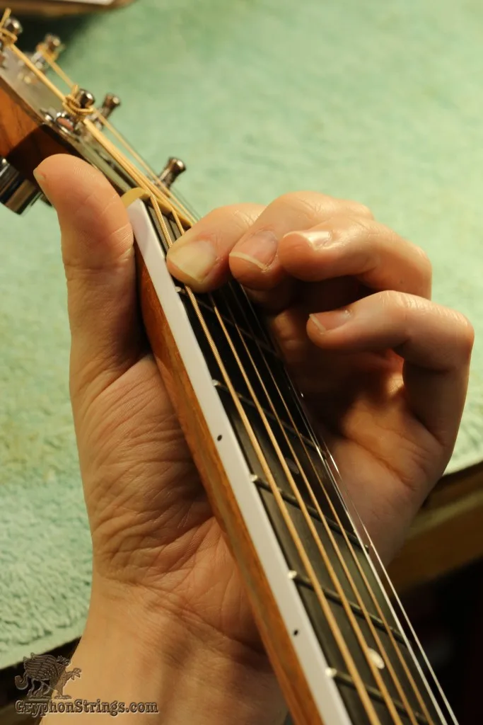 First Fret Player Watermark