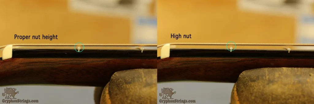 High Nut Annotated