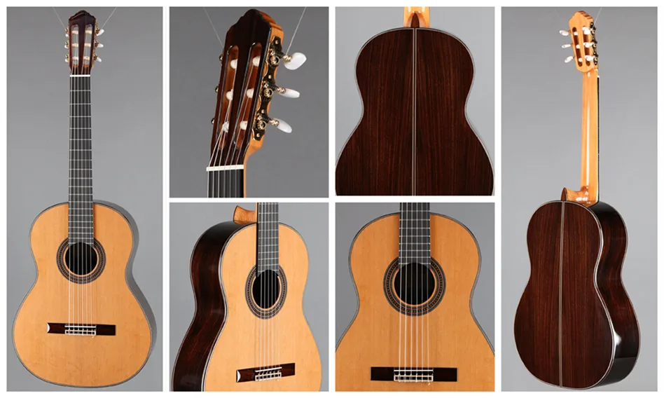 New World Guitar Player P640C