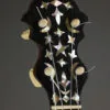 1889 S.S. Stewart Universal Favorite #3 5-String Banjo – Used