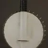 1894 S.S. Stewart Special Thoroughbred 5 String Used