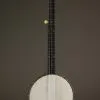 1894 S.S. Stewart Special Thoroughbred 5 String Used