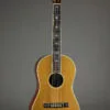 1916 Ditson/Martin 33 Acoustic Guitar – Used