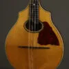 1916 Vega Model 202 Cylinder Back Mandolin – Used