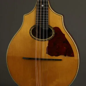 1916 Vega Model 202 Cylinder Back Mandolin – Used
