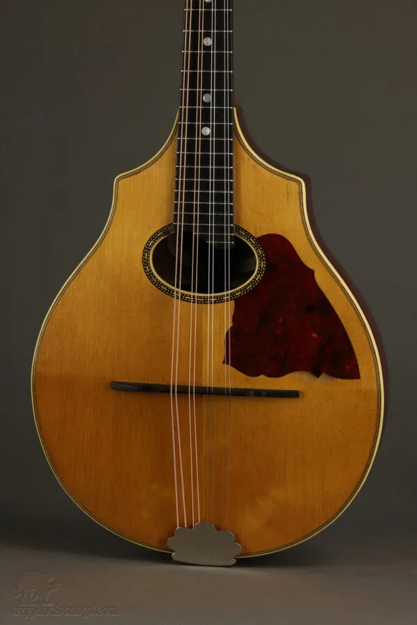 1916 Vega Model 202 Cylinder Back Mandolin – Used