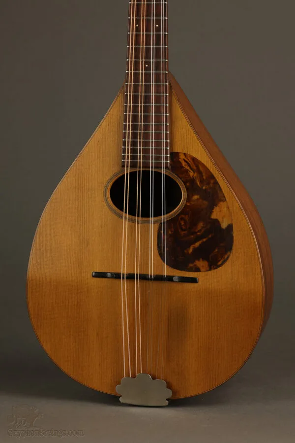 1919 Martin Style A Mandolin – Used