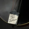1920 Gibson F-4 Black Top Mandolin-Used