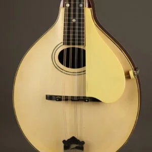 1922 Gibson A-3 White Top Mandolin – Used