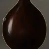 1924 Blacktop A-2Z-Style Snakehead Mandolin