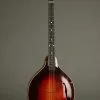 1924 Gibson TL-4 Tenor Lute Used
