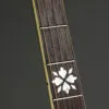 1930 Gibson PB Granada Original Flathead w/ F. Neat Neck 5-String Banjo – Used