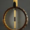 1988 Bart Reiter Whyte Laydie No. 2 5-string Banjo – Used