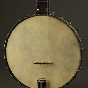 1993 Bart Reiter Special 5-String Open Back Banjo