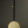 1993 Bart Reiter Special 5-String Open Back Banjo