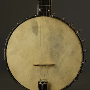 1995 Bart Reiter Professional 11″ 5-String Banjo Used