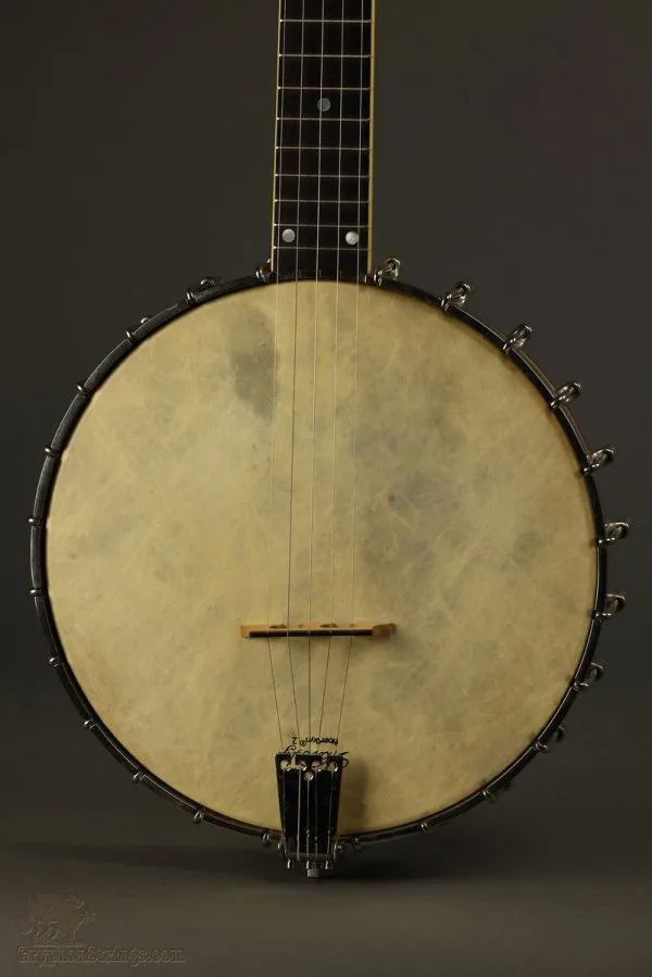 1995 Bart Reiter Professional 11″ 5-String Banjo Used