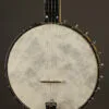 1996 Bart Reiter Regent 5-String Open Back Banjo – Used