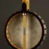 1996 Bart Reiter Regent 5-String Open Back Banjo – Used