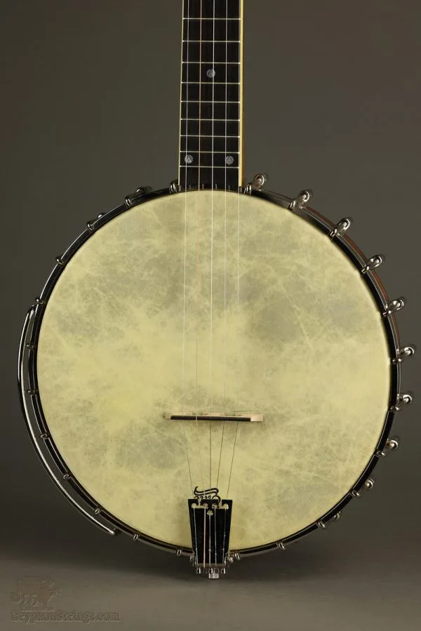 1997 Bart Reiter Tubaphone 11″ 5-String Banjo Used