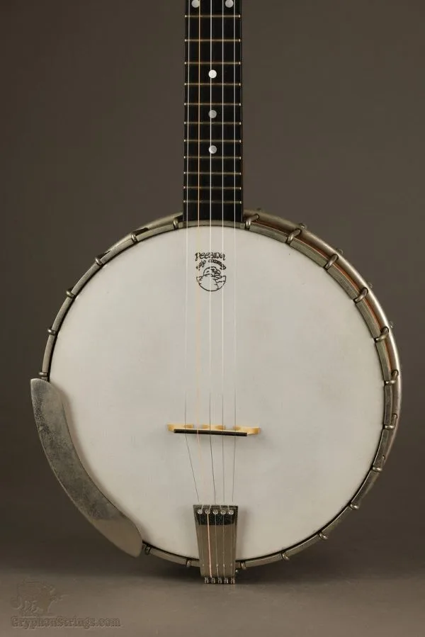 1998 Deering Sierra Open Back Mahogany 5-String Banjo – Used
