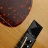 1999 Collings 0002H 12-Fret Acoustic Guitar – Used