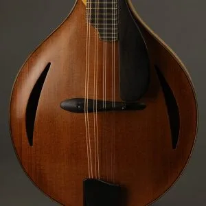 1999 David Cohen A Style Mandolin Used