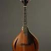1999 David Cohen A Style Mandolin Used