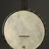 2000 Bart Reiter Special Fretless 5-String Banjo Used