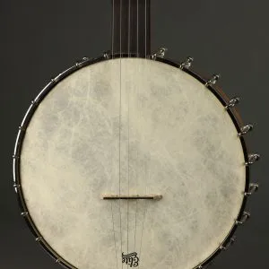 2000 Bart Reiter Special Fretless 5-String Banjo Used