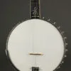 2001 Bob Flesher Grand Promenade 5 String Used