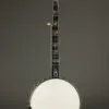 2001 Bob Flesher Grand Promenade 5 String Used