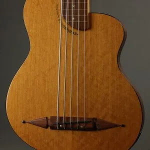 2001 Rick Turner Renaissance Standard RB5F 5-String Fretless Bass Used