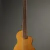2001 Rick Turner Renaissance Standard RB5F 5-String Fretless Bass Used