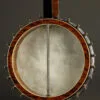 2006 Wildwood Balladeer 5-String Open Back Banjo – Used
