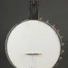 2008 Bart Reiter Special 5-String Banjo – Used