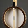 2008 Bart Reiter Special 5-String Banjo – Used
