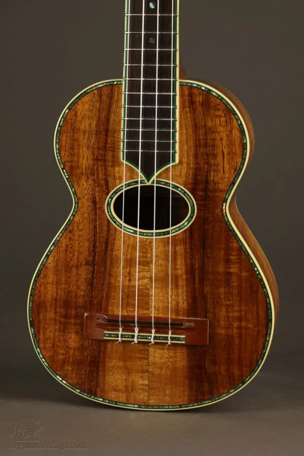 2008 Maui Music Longneck Concert Ukulele- Used