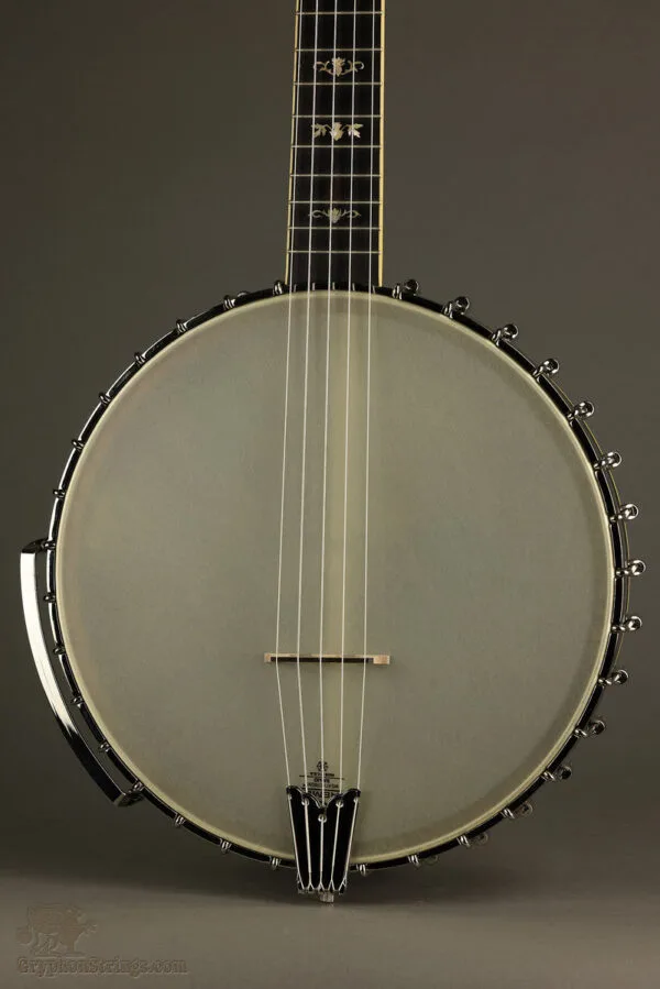 2009 Gold Tone CEB5 Cello Banjo – Used
