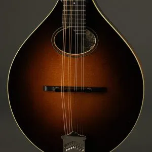 2010 Collings MTO Gloss Top Mandolin Used