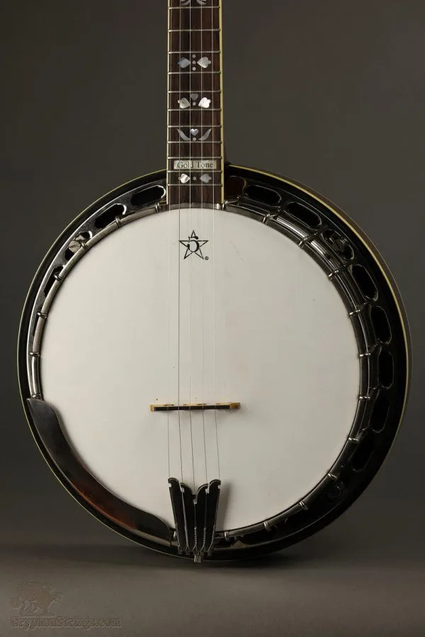 2010 Gold Tone OB-250 5-String Banjo Used
