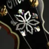 2010 OME Golden Angel Custom 5-String Banjo -Used