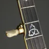 2010 OME Golden Angel Custom 5-String Banjo -Used