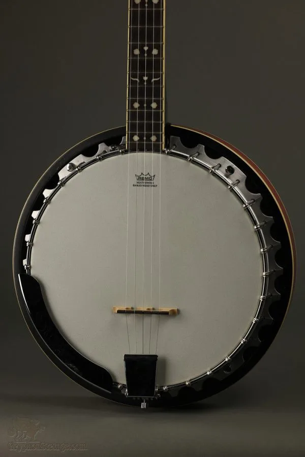 2011 Fender FB-54 5-String Banjo Used