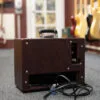 2012 Carr Raleigh 1×10″ Combo Amplifier Wine/Maple – Used