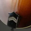 2012 Collings MF5 Mandolin – Used