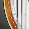 2012 OME Custom 12″ Silver Primrose 5-String Banjo – Used
