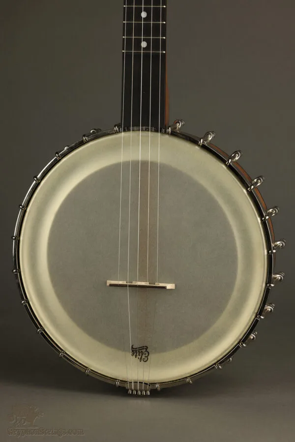 2013 Bart Reiter Bacophone 11″ 5-String Banjo Used