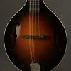 2013 Pava Mandolins A5 Player Mandolin Used
